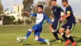 مهند أبو زيد